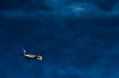 20151205-151135-0-NIKON D810