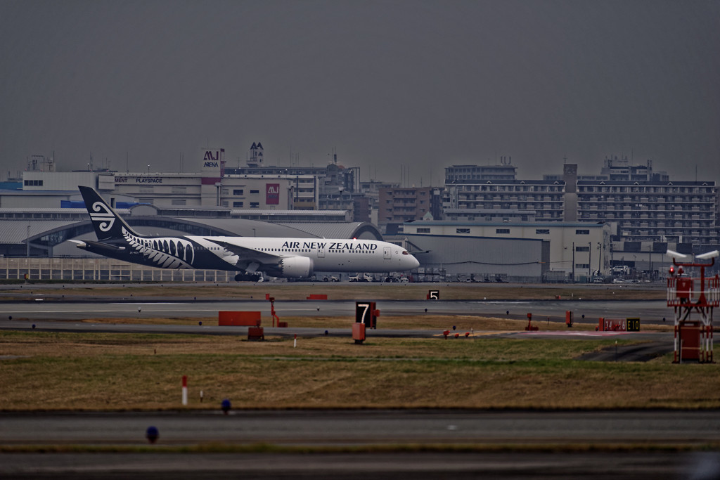 20151226-123155-0-NIKON D810