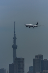 NIKON D7200-20150718-111625-0