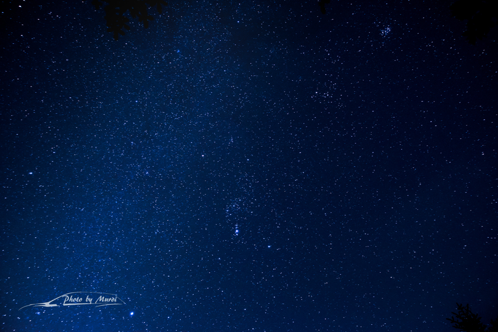 NIKON D810-20151025-031035-0
