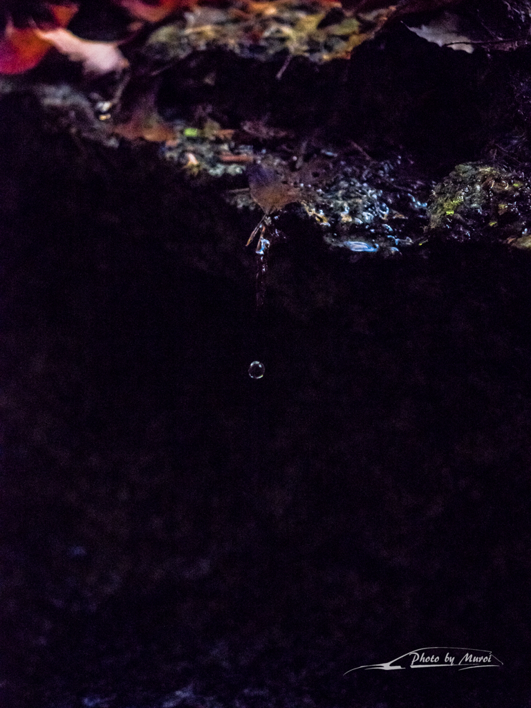 E-M5MarkII-20151025-091657-0