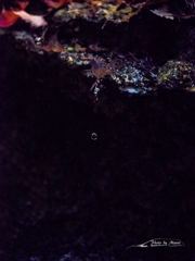 E-M5MarkII-20151025-091657-0