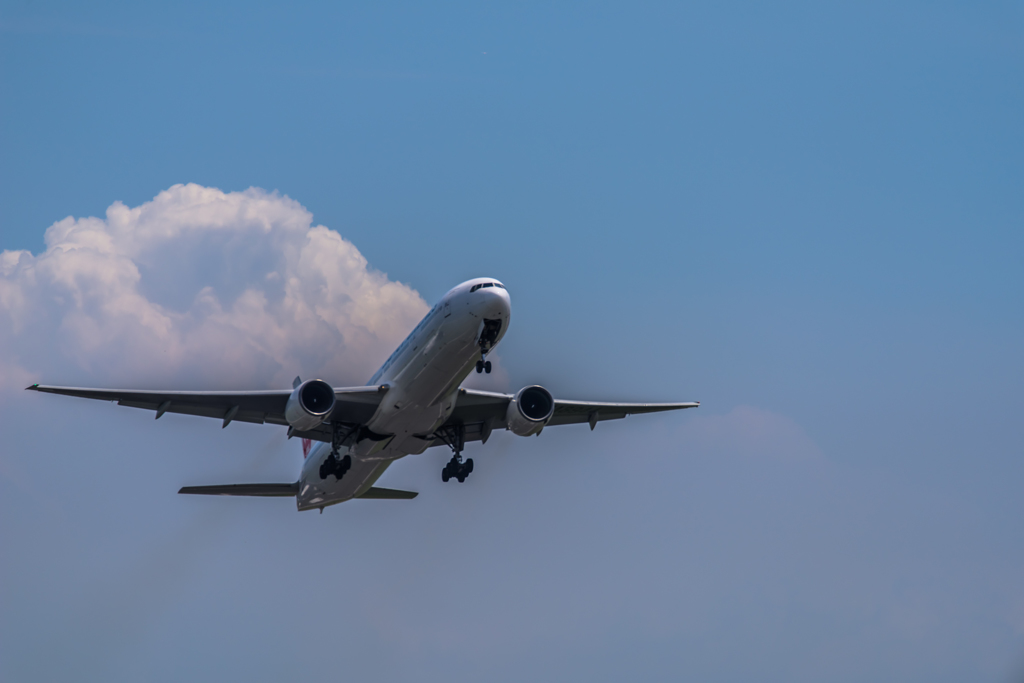 NIKON D810-20150620-125558-0