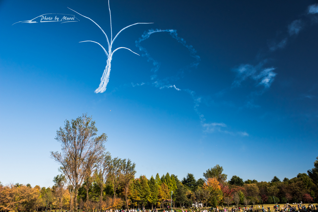 20151103-140541-0-NIKON D810