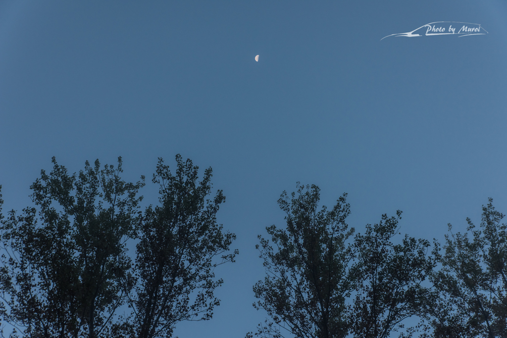 20151103-062848-0-NIKON D810