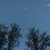 20151103-062848-0-NIKON D810