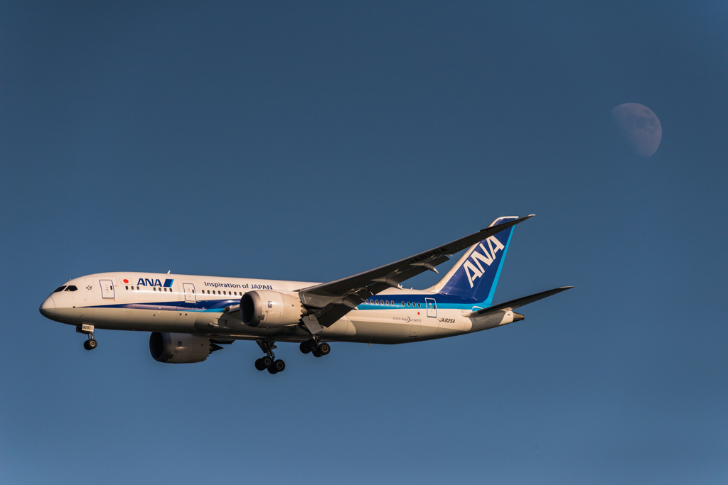 20151220-134530-0-NIKON D810