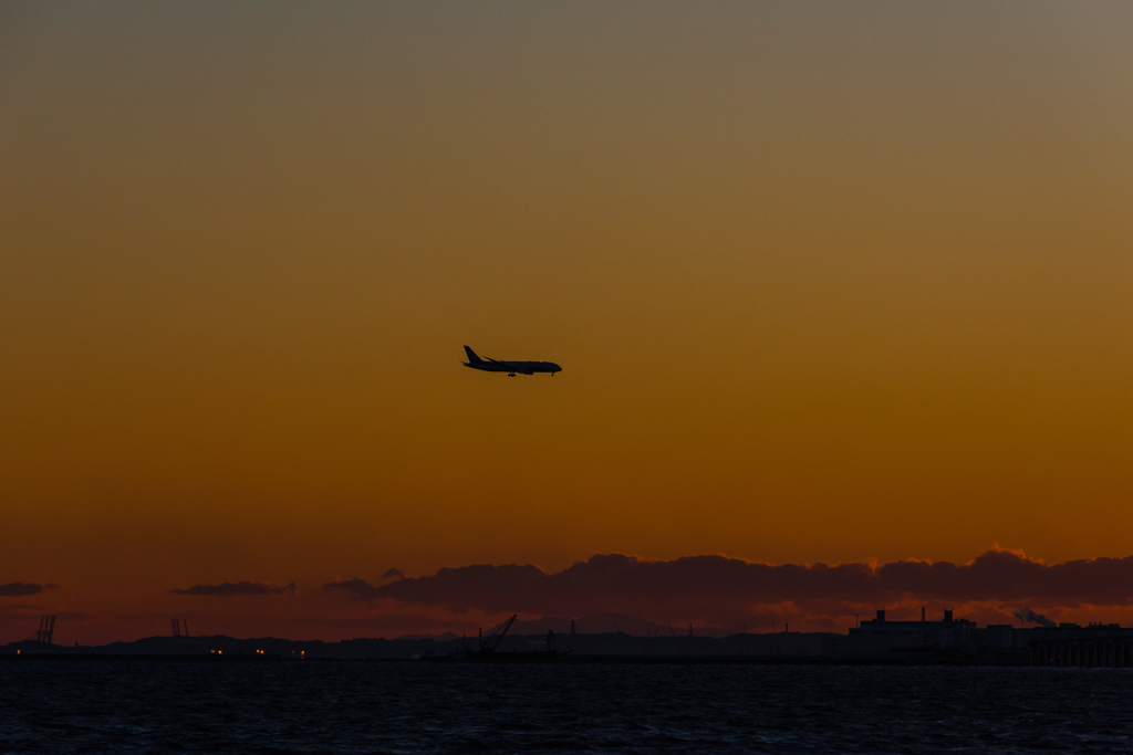 ニコンカレッジ20160124-165907-NIKON D810