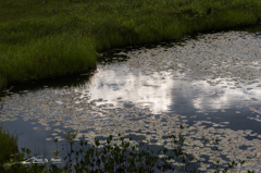 NIKON D810-20150822-064511-0