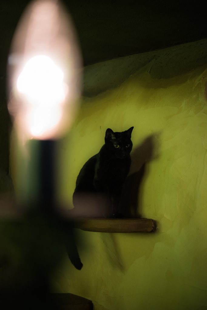 20151219-110607-0-NIKON D810