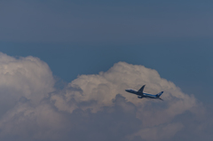 NIKON D810-20150620-122245-0