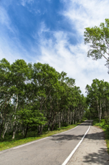 NIKON D810-20150719-094130-0