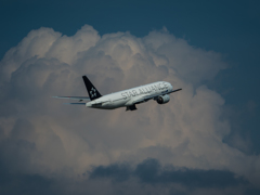 E-M5MarkII-20150607-143606-0