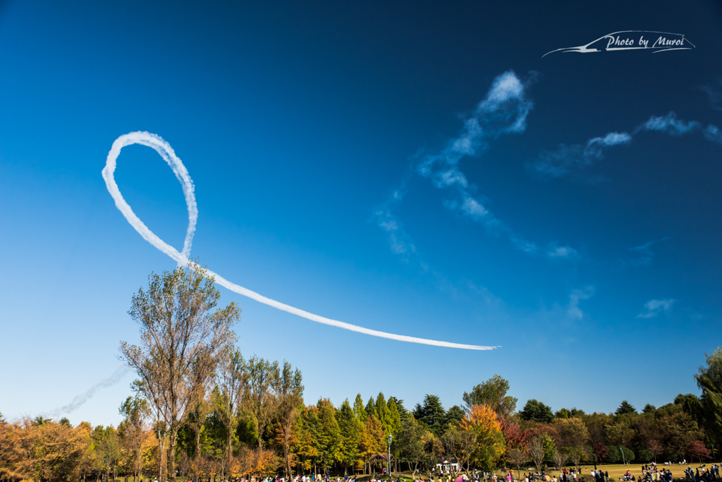 20151103-140010-0-NIKON D810