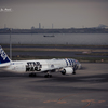 NIKON D810-20151031-071559-0