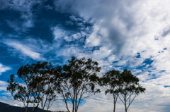 NIKON D810-20150822-075407-0