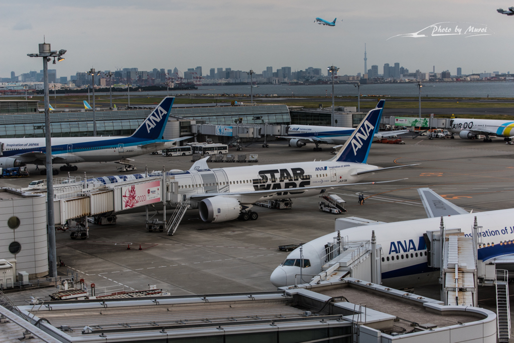 NIKON D810-20151031-063754-0