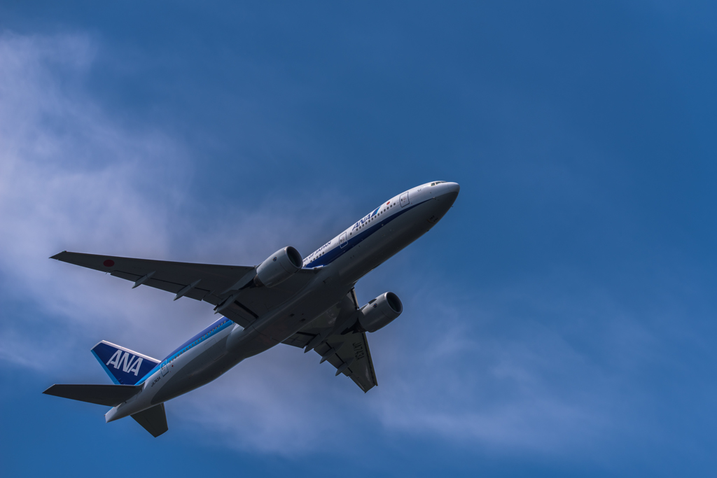 NIKON D810-20150620-101636-0