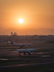 E-M5MarkII-20150604-184130-0