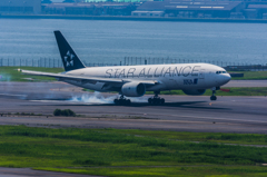 NIKON D7200-20150726-114135-0
