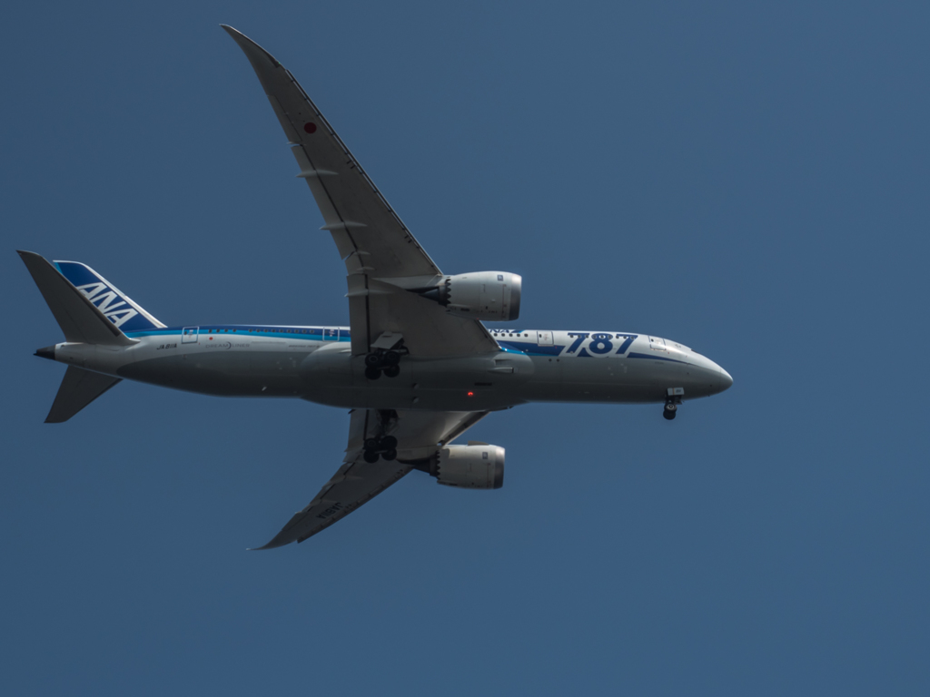 E-M5MarkII-20150711-140915-0