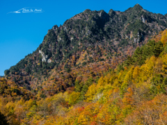 E-M5MarkII-20151025-122524-0