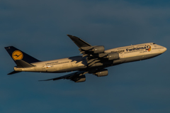 20151205-154501-0-NIKON D810