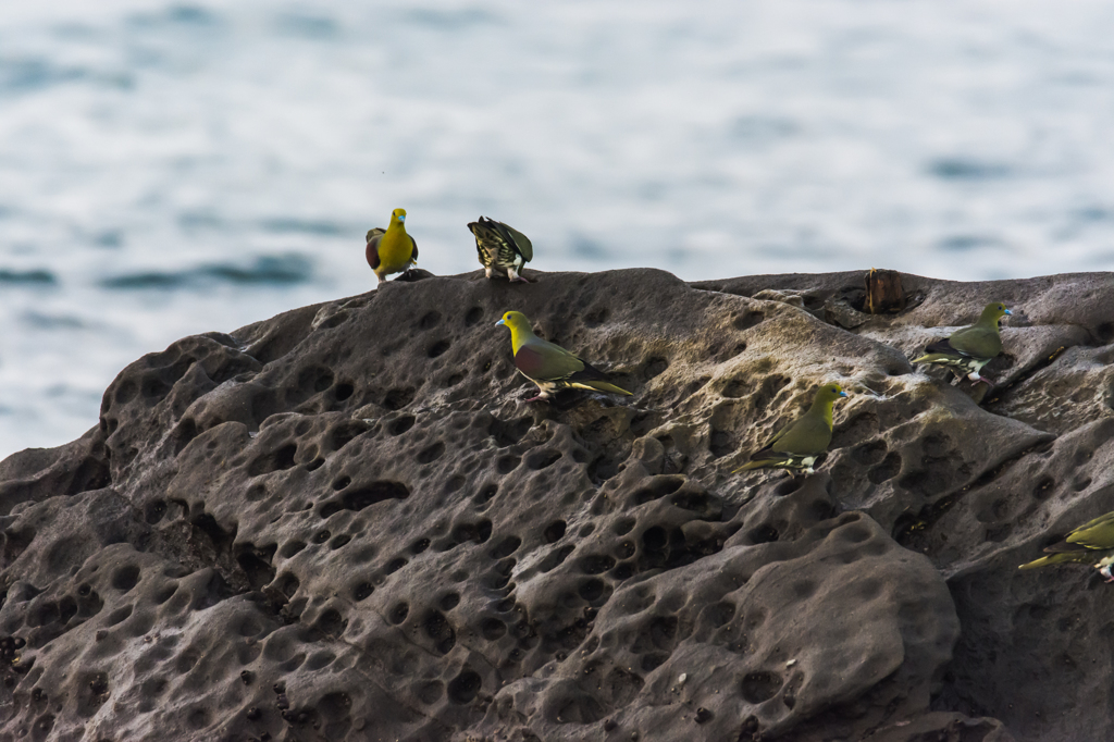 NIKON D7200-20150725-052302-0