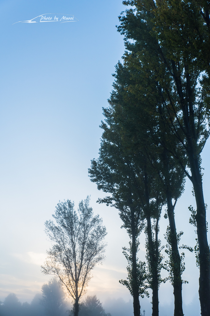 20151103-063721-0-NIKON D810