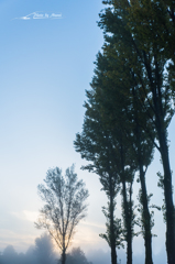 20151103-063721-0-NIKON D810