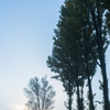 20151103-063721-0-NIKON D810