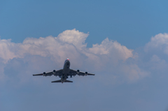 NIKON D810-20150620-131434-0