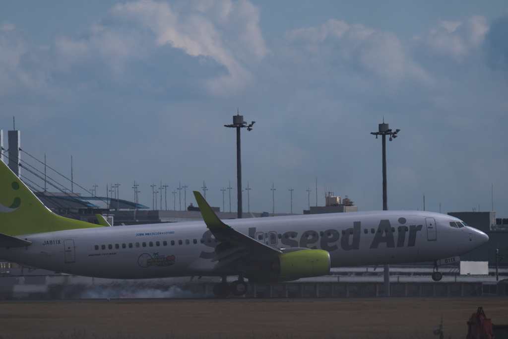 20160213-123339-0-NIKON D810