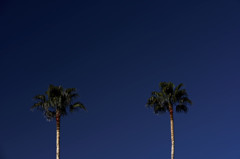 20151229-095900-0-NIKON D810