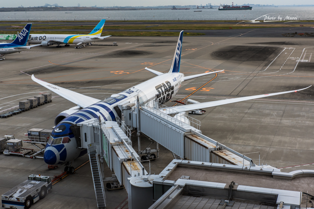 NIKON D810-20151031-064143-0