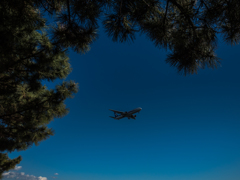 20160119-112837-0-E-M5MarkII