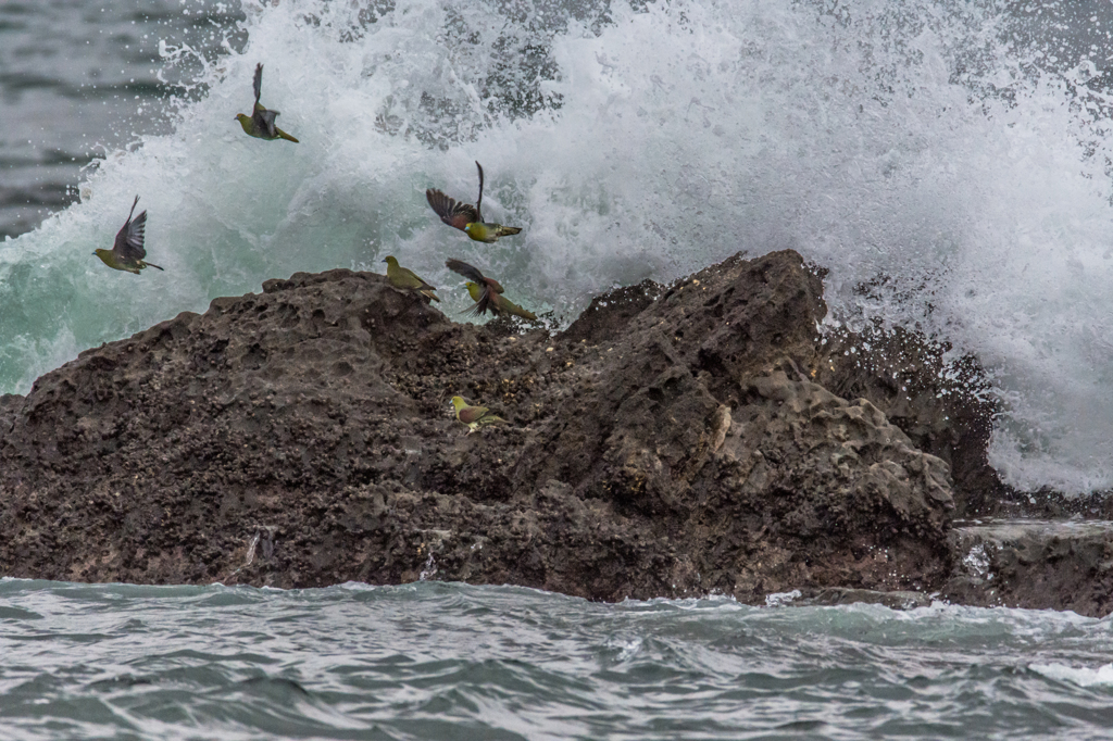 NIKON D7200-20150812-053425-0