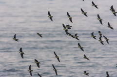 NIKON D7200-20150725-050741-0