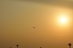 NIKON D7200-20151022-063452-0
