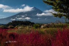 NIKON D810-20151018-080646-0