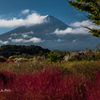 NIKON D810-20151018-080646-0