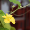 E-M5MarkII-20150827-095051-0