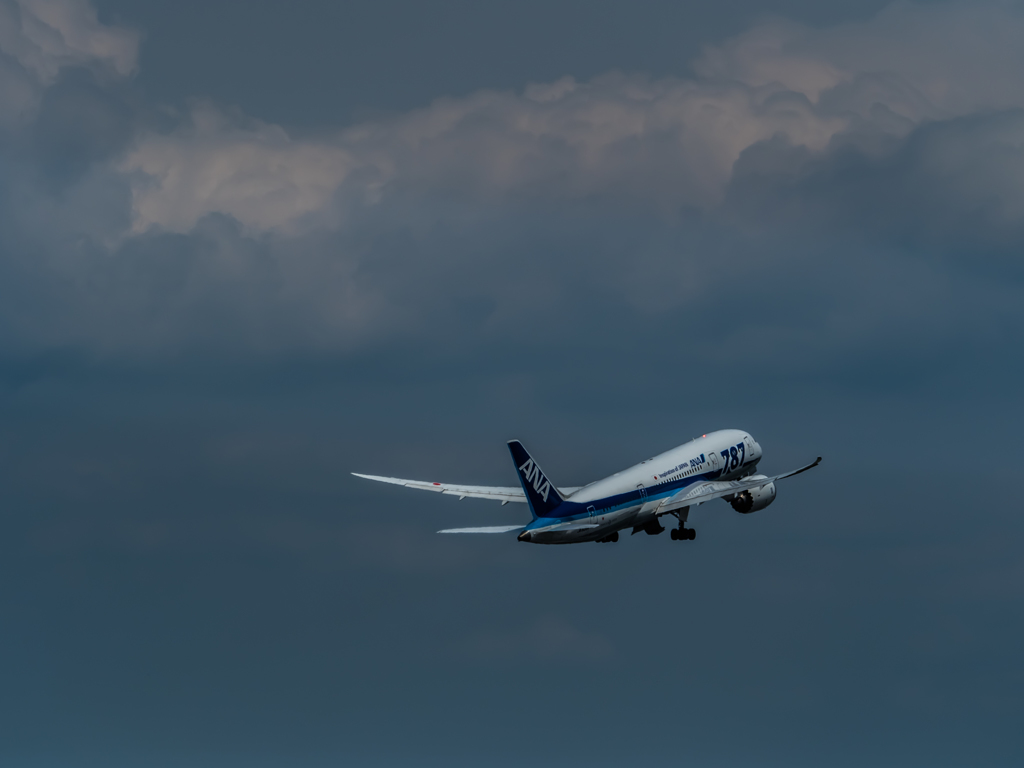 E-M5MarkII-20150607-124354-0