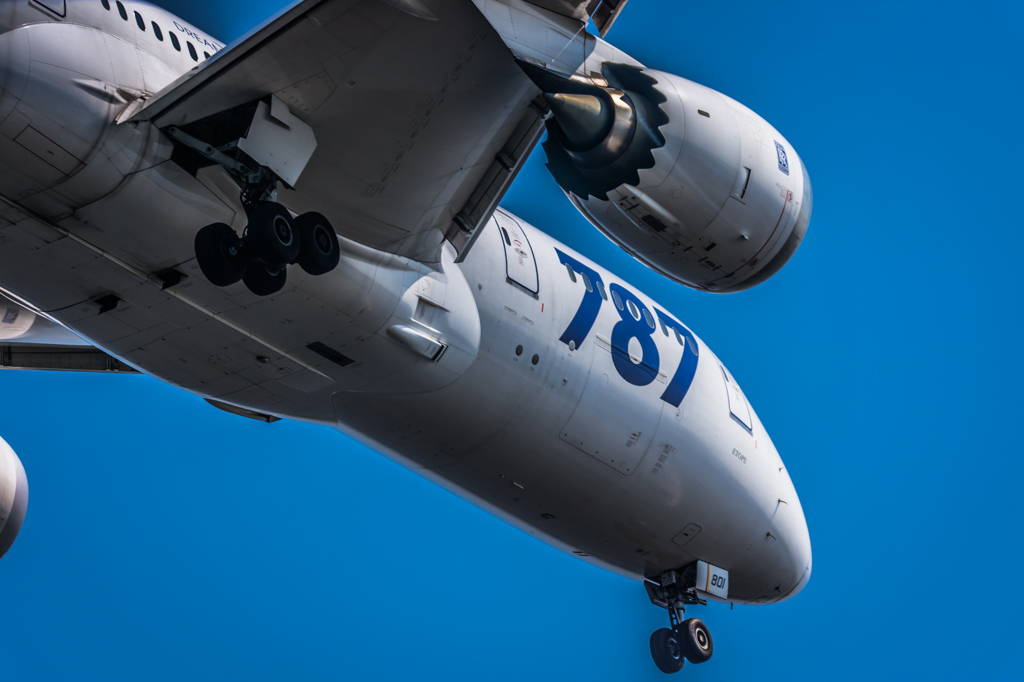 NIKON D7200-20150711-142959-0