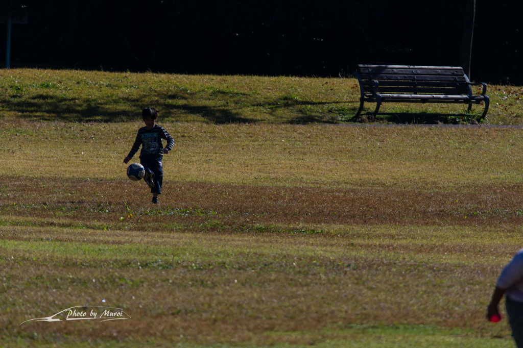20151103-092805-0-NIKON D7200