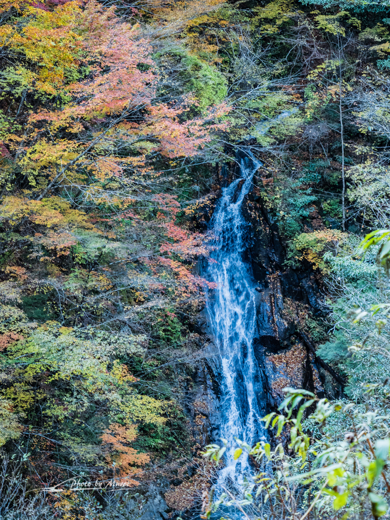E-M5MarkII-20151025-080359-0