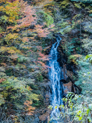 E-M5MarkII-20151025-080359-0