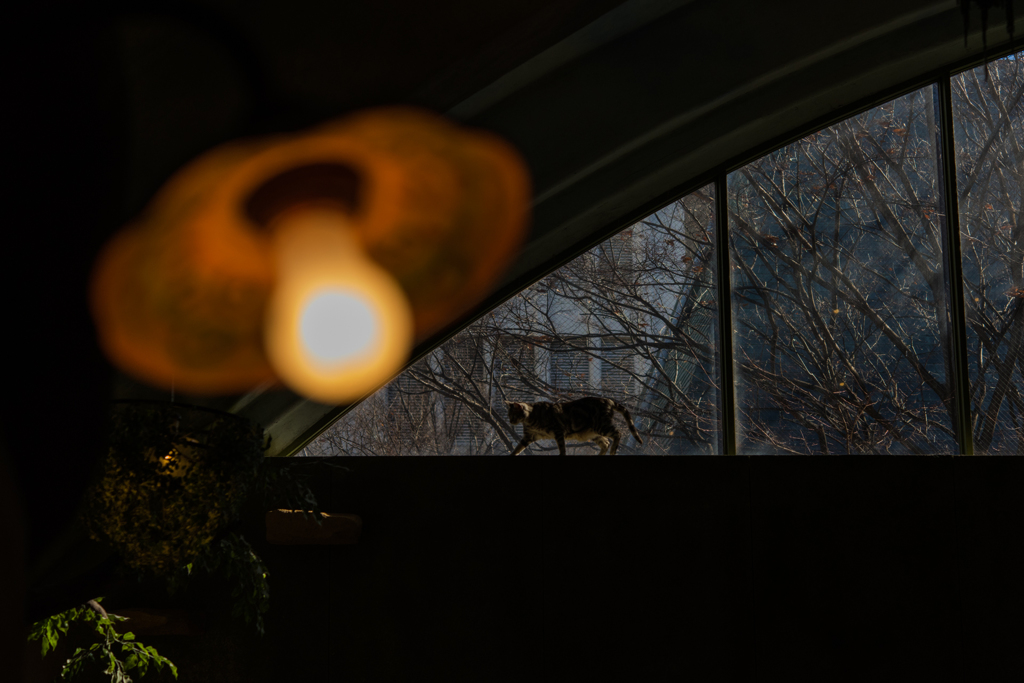 20151219-113532-0-NIKON D810
