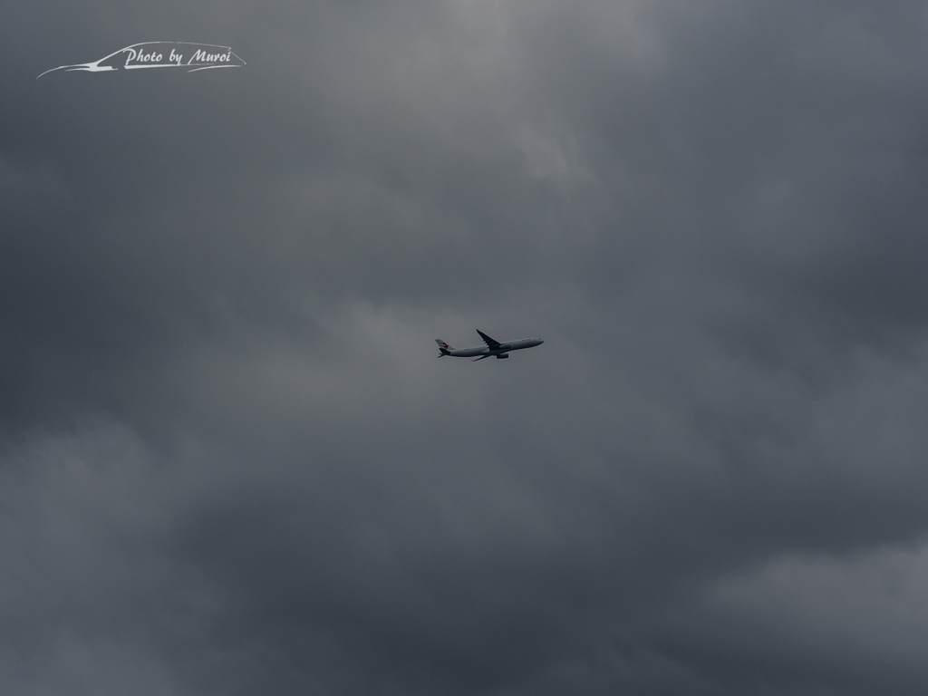 20151129-145503-0-E-M5MarkII