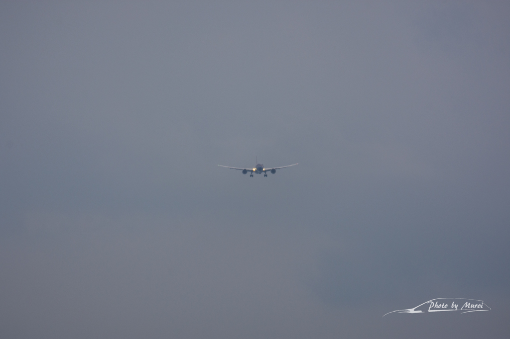 NIKON D7200-20151031-110831-0